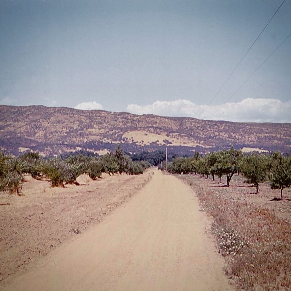 Historic image of the original entrance to Monitcello Winery in Napa California.